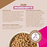 Eukanuba Grain Free Lamb - Complete Dry Dog Food - For Adult Small & Medium Breed Dogs 12KG - Image 6