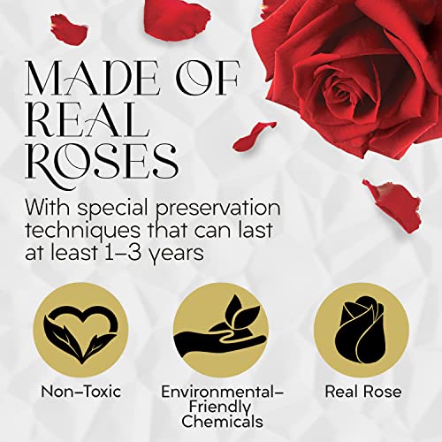GLAMOUR BOUTIQUE Eternal Preserved Roses in a Box - Flowers Forever, Rose Forever in a Box for Wife, Birthday Gifts for Her, 7 Roses, Red - Image 7