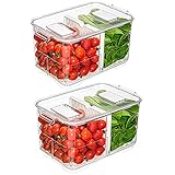 blitzlabs Produce Saver Fresh Keeper Container Refrigerator Organizer Bins Fridge Food Storage...