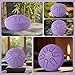 Yahpetes Steel Tongue Drum Musical Percussion Instrument Metal Rain Drum for Outside 3 Inch 6 Notes C-Key for Meditation Yoga Education Percussion with Bag, Music Book, Mallets (Purple, 3