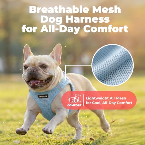 Image of Voyager Step-in Air Dog Vest Harness - Baby Blue, Small | 14.5-16 inch in Chest, Reflective Bands, All Weather Breathable Air Mesh, Cats Compatible, Lightweight, Fast Drying