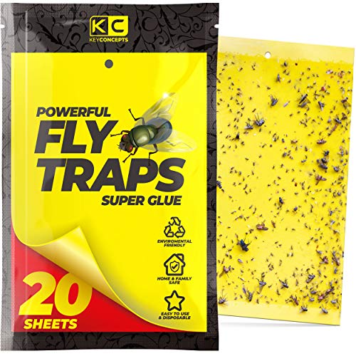 Yellow Sticky Traps (20 Pack), Fruit Fly Trap (Gnat Trap Indoor & Outdoor), Fly Paper, Fruit Fly Killer, Gnat Traps for House Plants, Fruit Fly Traps for Kitchen, Indoor Fly Traps, Fly Strips