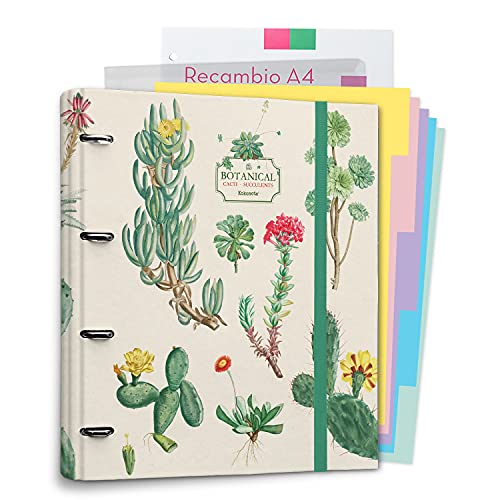 Grupo Erik Carpeta de anillas A4 Botanical Cacti - Carpeta con separadores - Separadores para carpetas A4