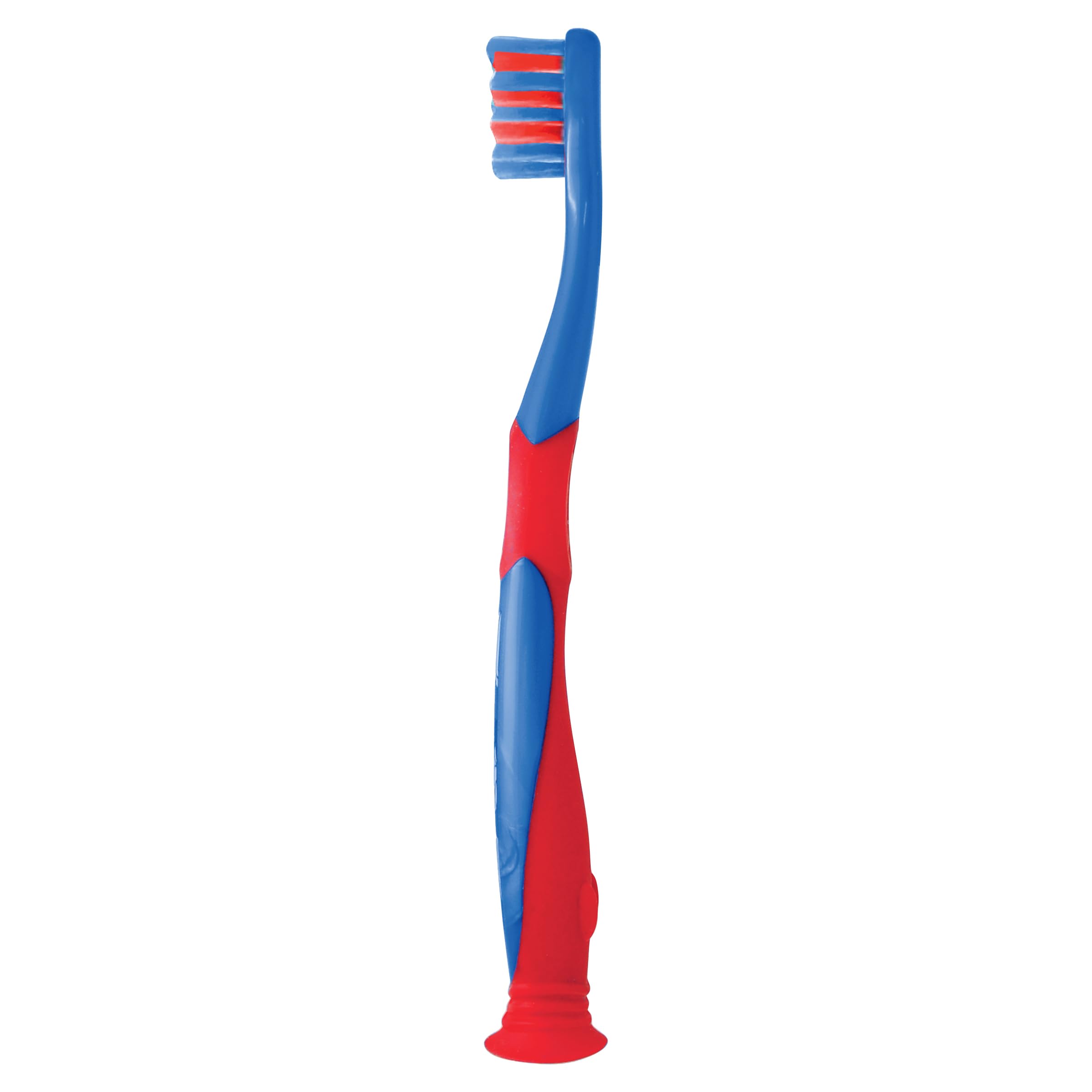 Colgate Pack 12 x 2 Cepillos de dientes Kids Bluey 2-5 años, cepillo de dientes infantil, cabezal pequeño, filamentos extra suaves para una limpieza delicada, mango redondo para un agarre cómodo