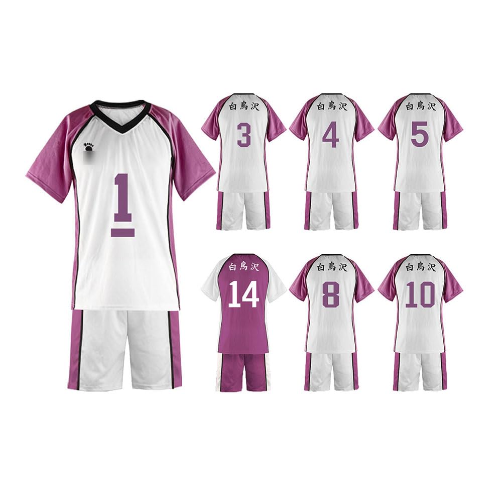 白布賢二郎 風 セット済みコスプレウィッグ　ハイキュー！！ HQ!! 白鳥沢 ハイキュー コスプレ 白布賢二郎 ウィッグ - メルカリ