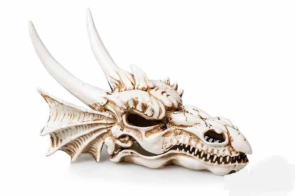 Biotope Aquatics Ltd Brown - Aquarium Ornaments, Fish Tank Polyresin Swim Through Decorations, Multiple Designs - Dinosaur, Skull, Boat, Ship, Tree Root, Wood, Cave (Dragon #719 (28Cm))