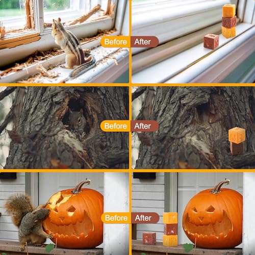 Elegenzo Squirrel Repellent Chipmunk Repel: Squirrel Repellent Outdoor thumb #3