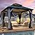 Raysfung 10'x10' Wood Gazebo, Outdoor Hardtop Gazebo with Wood Posts and Galvanized Steel Doule Roof, Wooden Frame Gazebos with Netting and Curtains for Patio Backyard Deck