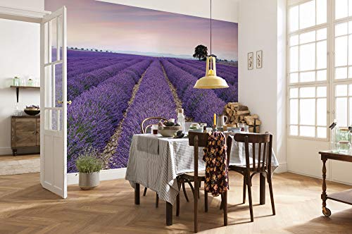 Komar X8-036 Non-Woven Photo Wallpaper - Provence - Size Height - 8 Panel Width 50 cm, Lavender, 400 x 260 cm (Breite x Höhe)