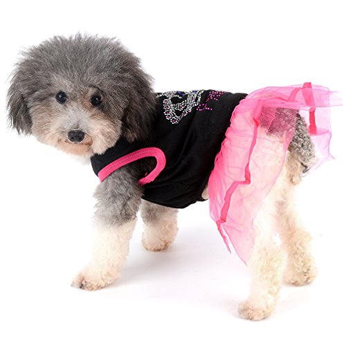 Ranphy Strass Principessa Dog Dress Lace Tutu