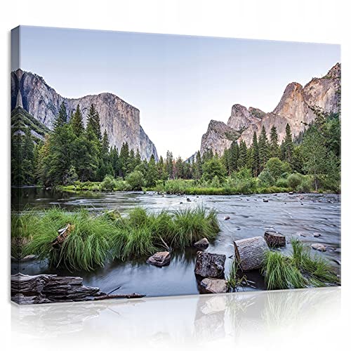 Wandbilder 140x50cm Leinwandbild Berge Wiese Blumen Groß XXL Bilder