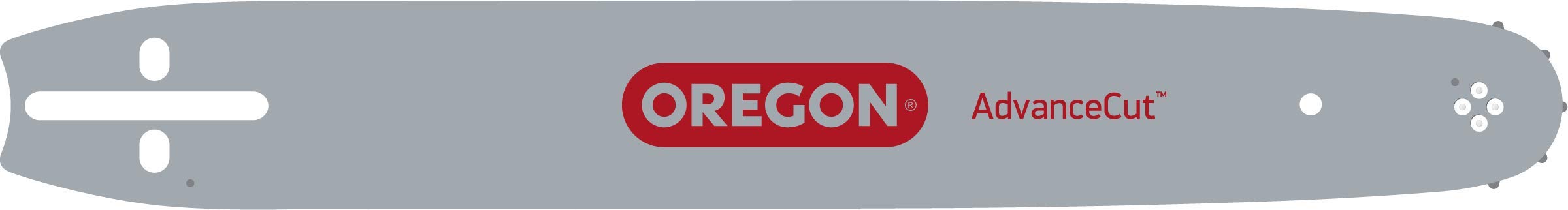 Oregon 160PXDD176 - Barra Pro-Am, diametro 0,05 cm