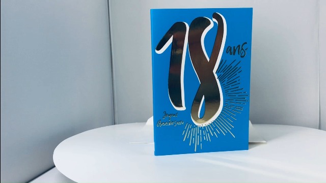 Système D'aspiration Dentaire Champ Sec - Rétracteur Joues Lèvres Pour Soins Dentaires