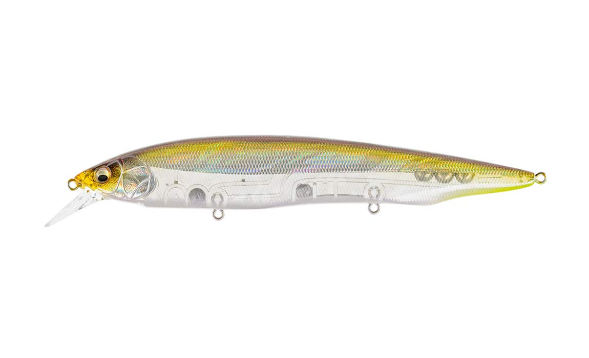 Amazon.com : Megabass Katana Kameyama Ht Ito Tennessee Shad