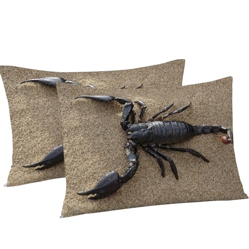 Housse de couette 240 x 260 zippée microfibre parure scorpion - 8