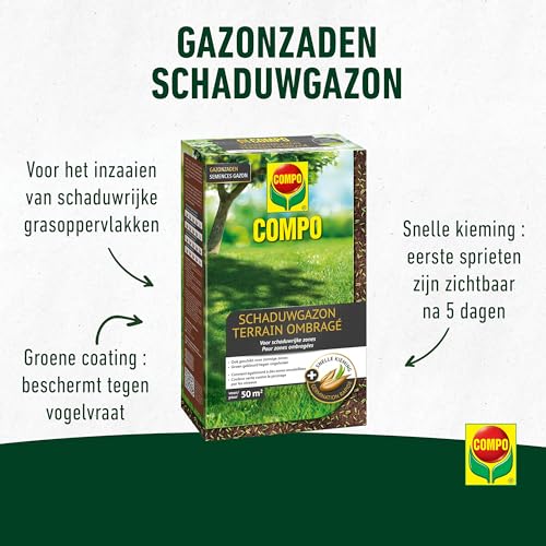 COMPO Gazonzaden Schaduwgazon, voor schaduwrijke zones, groen gekleurd tegen vogelvraat, snelle kieming, voor 50 m², 1 kg - Afbeelding 4