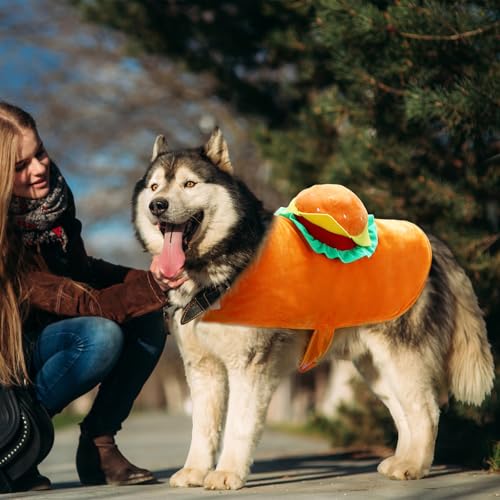 Disfraz de hamburguesa para perro talla XL miniatura 6