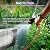 Powerful Solar Bug Zapper for 2000 sq.ft with 13FT Extension Cord
