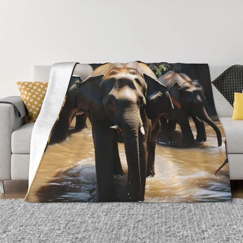 Couverture polaire en flanelle 203x152 cm jeté de lit motif éléphant