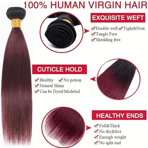 Extensiones de cabello humano 1B/99J brasileño liso corto color burdeos ombré 4