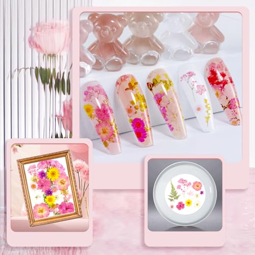 Flores prensadas secas para manualidades, estilo rosa miniatura 3
