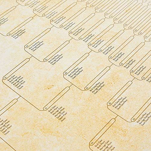 Okuna Outpost CHGYI 15 Pack Family Tree Charts To Fill In - Blank 8 Generation Genealogy Poster thumb #8