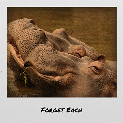 Forget Each De VARIOUS ARTISTS Sur Amazon Music Unlimited