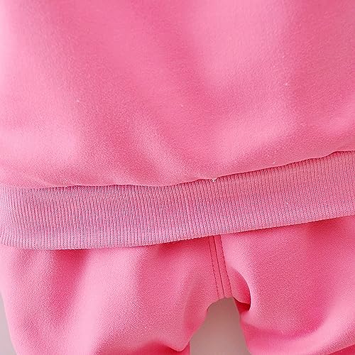 Girl Autumn Winter Clothes Long Sleeve Floral Zipper Hoodie Wool Lined Jacket Pants Toddler Warm (Hot Pink, 4-5 Years)2