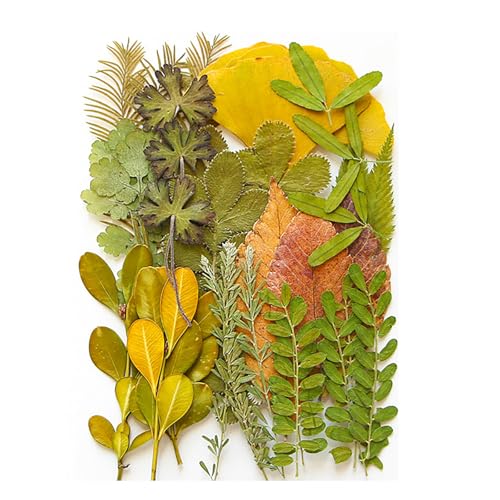 i`vXtAZbgXNbvubLOWG[쐬tHgt[dbP[XubN}[NvWFNg