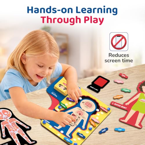 Image of Smartivity Human Body Parts Puzzle for Kids 4-7 Years | 40+ Learning Cards - Teaches Outer Body & Organs | See Bones with Magic X-RAY I Birthday Gift for Boys & Girls