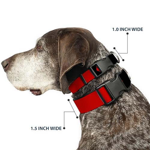 Collar plástico clip Buckle Down Harley Quinn para evitar tirones de perro 3