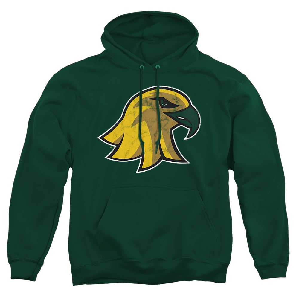LOGOVISION Official Collegiate Distressed Primary Logo Adult Pullover Hoodie Collection — view 11