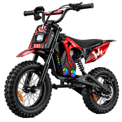 isinwheel A14 Electric Dirt Bike