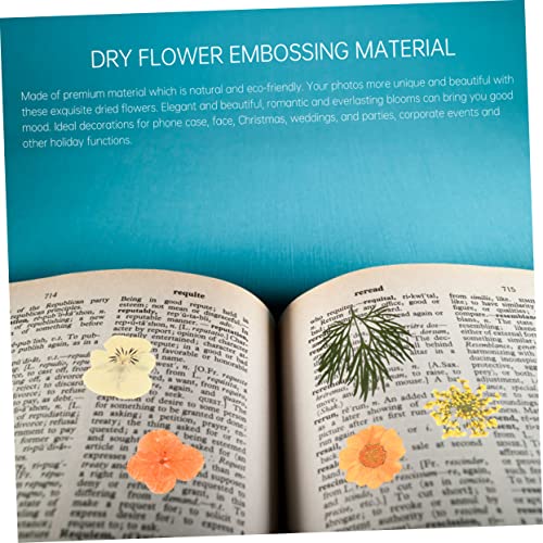 Kit de flores prensadas secas realistas 40 piezas miniatura 4