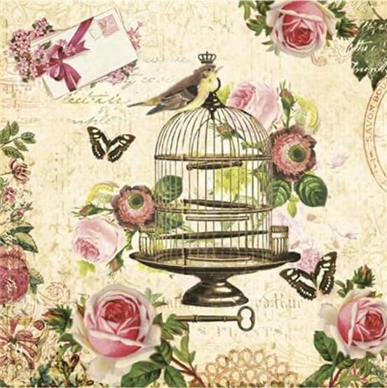 Vintage Decoupage Napkins VINTAGE CAGE 40pcs Lunch Paper Napkins, Decorative Napkins, Decoupage Paper Napkins, Butterfly Napkins, Vintage Script Napkins, Bird Paper Napkins, Floral Napkins