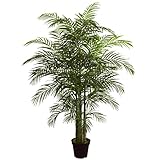 Nearly Natural 6.5ft Artificial Areca Palm Tree, UV Resistant (Indoor/Outdoor)