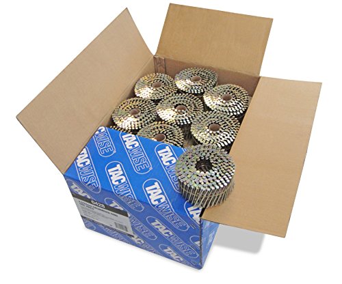 Tacwise 0428 Chiodi Galvanizzati in Bobina Piatta