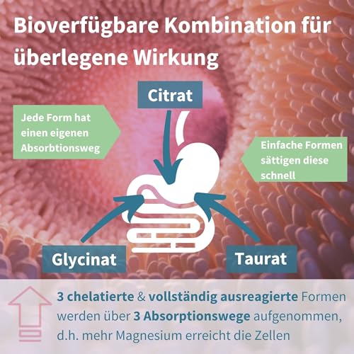 Igennus Fortschrittlicher Dreifach-Magnesium-Komplex, vollständig ausreagiertes & chelatiertes Glycinat, Taurat & Citrat, Clean Label, hohe Bioverfügbarkeit & Absorption, 60 Tabletten, Vegan