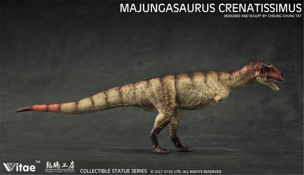 Amazon | Vitae 1/35 サイズ マジュンガサウルス Majungasaurus 