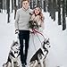 Kuoser Hund Smoking Anzug & Bandana Set, Haustier Fomal Kleidung Hunde Mantel mit Abnehmbarer Fliege, Hundeanzug Welpe Kostüm Shirt für Hochzeit Halloween Geburtstag Party, S-XXL