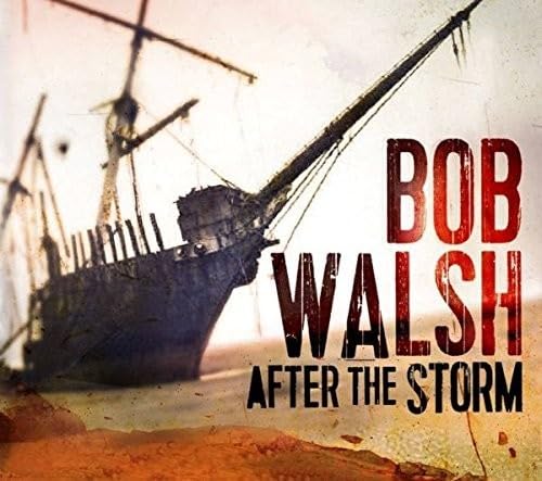 After the Storm [Audio CD] Bob Walsh