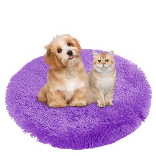 BESTORI Cuccia Cane Interno Rotondo Letto Gatto Cuscini Lavabile in Lavatrice Lettino Morbido Pelosa per Grande Medio Piccolo Cani Gatti, Viola, 40 x 40 cm