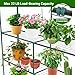 Ohuhu Plastic Greenhouse for Outdoors: Portable Walk in Plant Green House with Improved Transparent PVC Cover, 3 Tiers 12 Shelves Stands Small Greenhouses Backyard Green Houses for Outside Heavy Duty