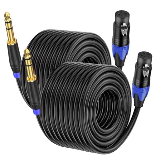 Adaptateur XLR vers TRS 6.35mm femelle lot de 2 pour micro