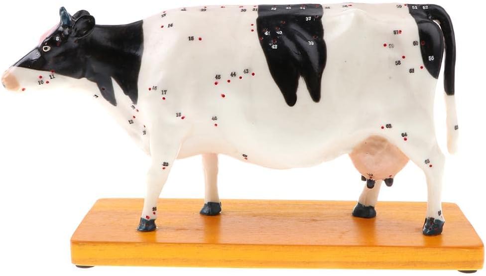 Professional 68 Acupuncture Points Cattle Anatomical Model School Teaching Tool Lab Supplies