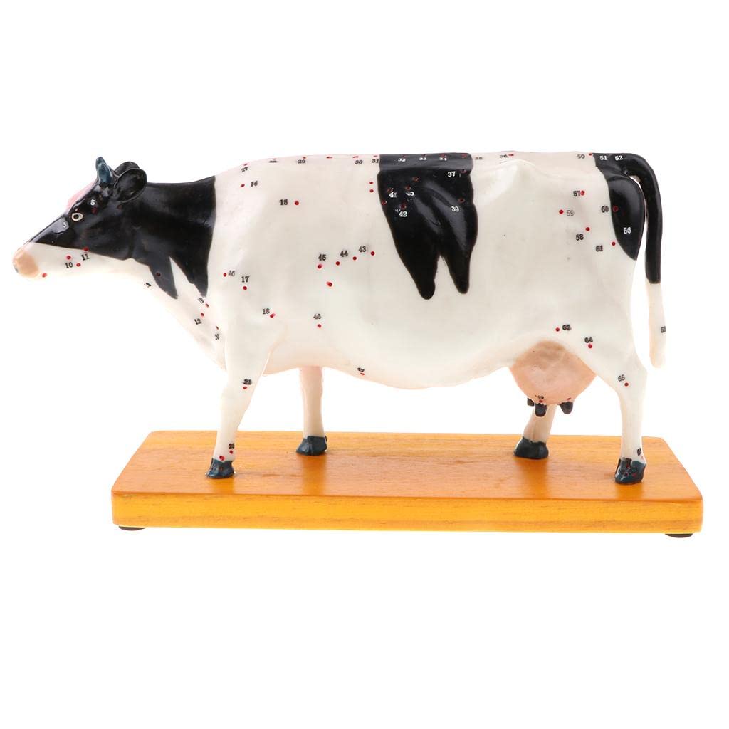 Professional 68 Acupuncture Points Cattle Anatomical Model School Teaching Tool Lab Supplies