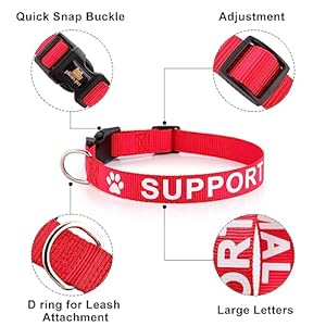 Plutus pet support animal collarprinted in large letters on nylon webbingprevents accidents by warning others of your dog in advancetwo colorsfour sizesneck 8 12 inchextra smallred   cucciolini doodles