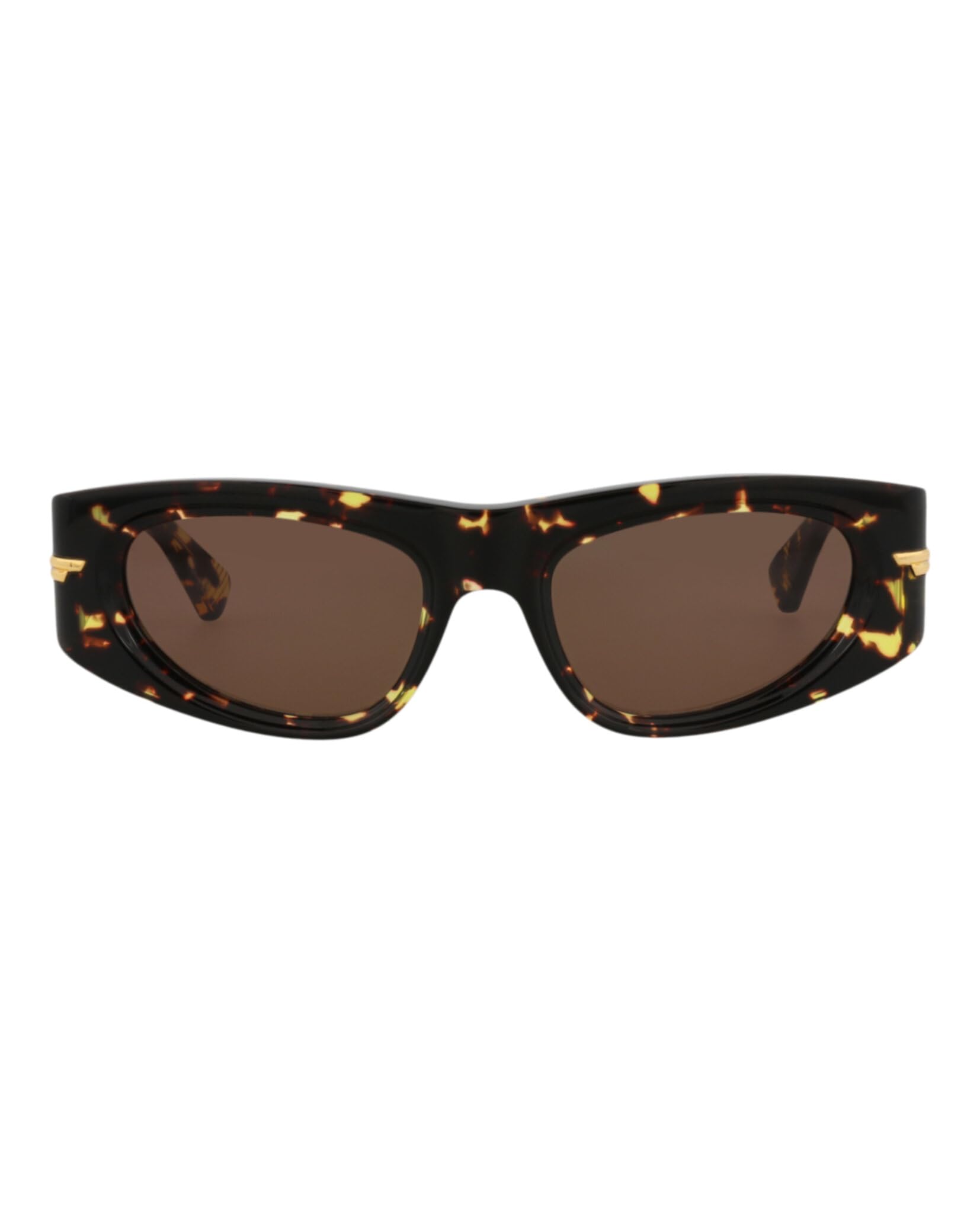 Bottega VenetaRound-Frame Acetate Sunglasses