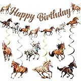 Horse Birthday Decorations - Horse Party Decorations Horse Themed Party Decorations Horse Decorations for Party