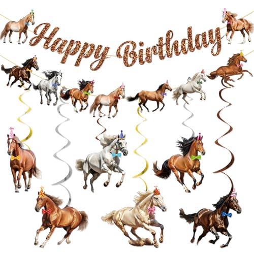 Horse Birthday Decorations - Horse Party Decorations Horse Themed Party Decorations Horse Decorations for Party